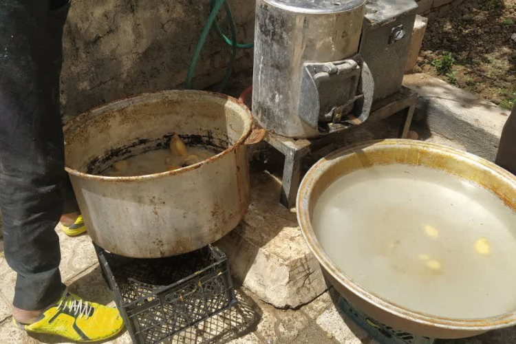 پلمپ کارگاه غیر مجاز سمبوسه و پیراشگی