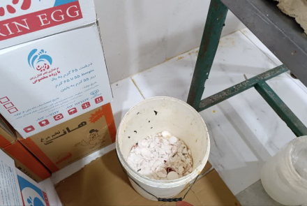 جمع آوری بیش از ۱۰ تن  تخم مرغ آلوده و غیرقابل استفاده