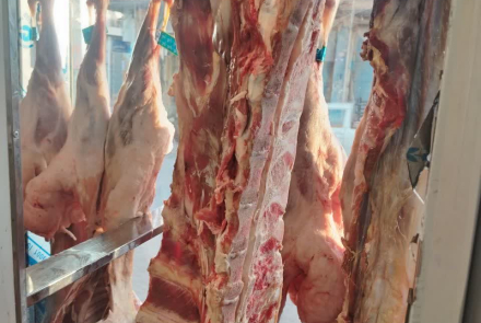 توقیف مقدار قابل توجهی گوشت تاریخ گذشته