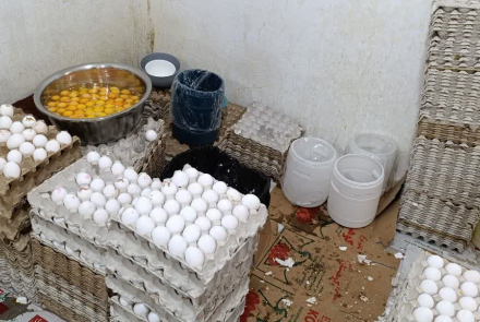 توقیف بیش از۵ تُن تخم مرغ غیربهداشتی